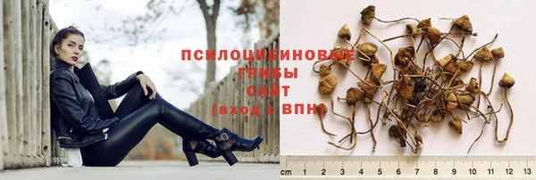 герыч Богородицк