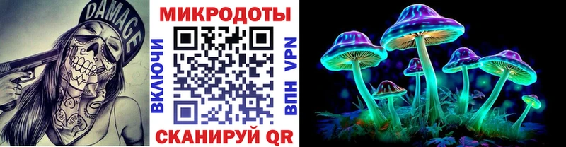 даркнет сайт  Шебекино  даркнет Telegram  Галлюциногенные грибы Cubensis 